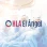 Equipo de Otorrinolaringología del HLA el Ángel