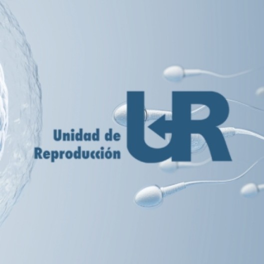UR Málaga Hospital HLA El Ángel