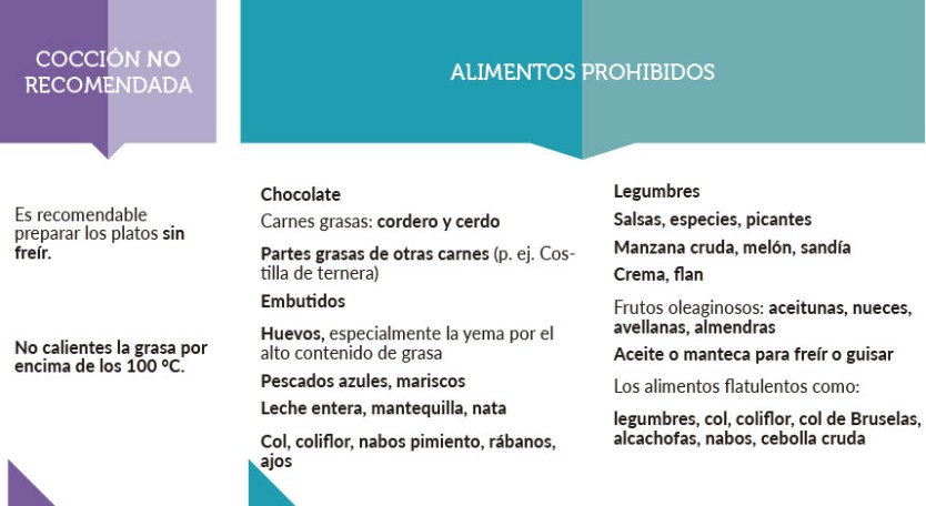 Alimentos NO recomendados