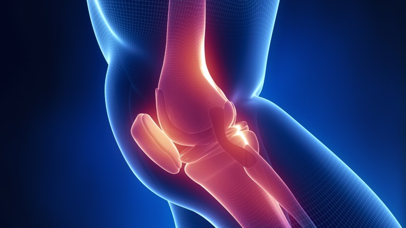 Rotura de ligamentos cruzados